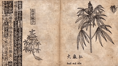 Breve storia millenaria della Canapa Sativa nell'Antica Cina