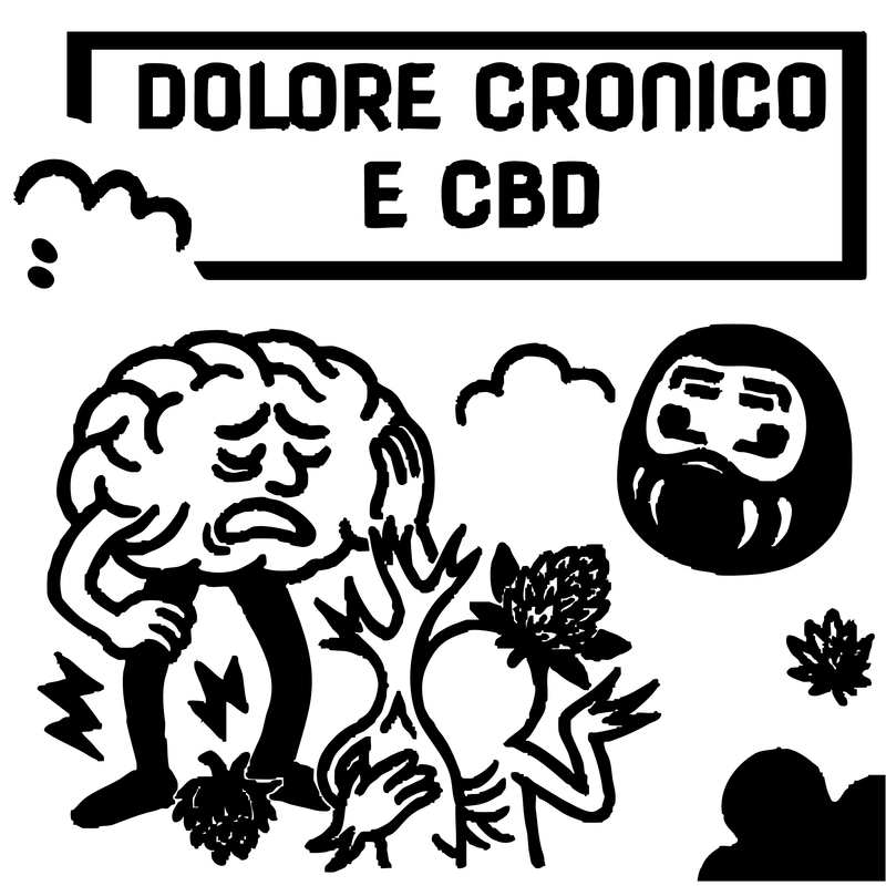 CBD per il Dolore Cronico: Funziona Davvero? Usi Terapeutici, Studi Scientifici e Modalità di Assunzione