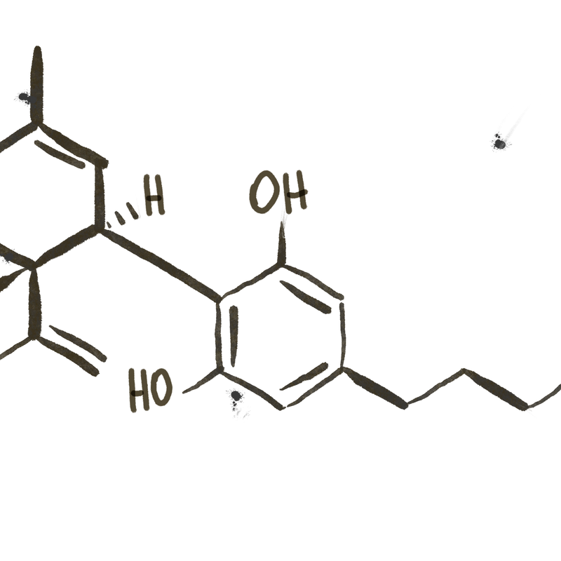 CBD (Cannabidiolo)