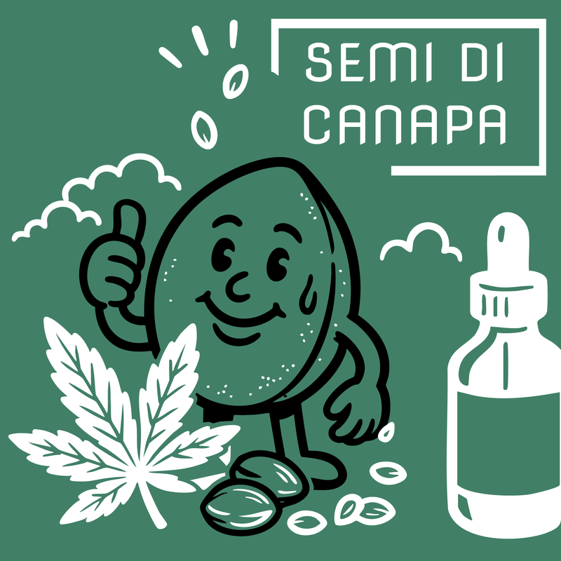 Semi di Canapa: il Superfood Naturale che Nutre Corpo e Mente