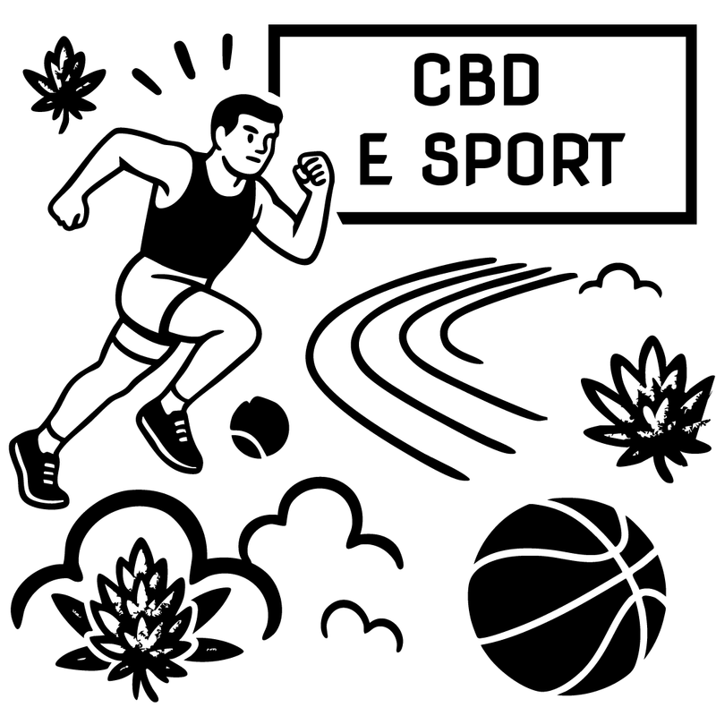 CBD per Sportivi: Aiuta Davvero il Recupero Muscolare?